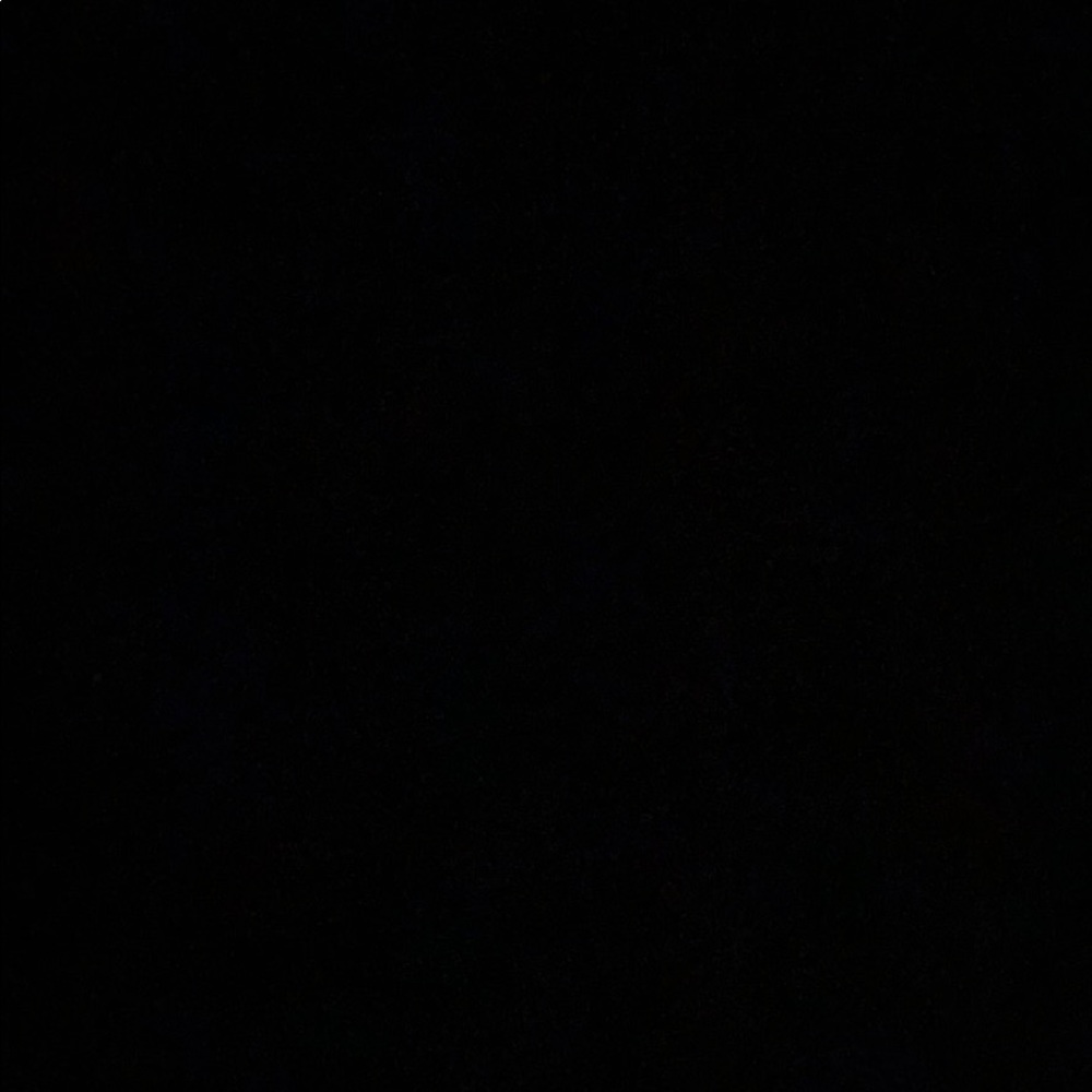 Meet your Posher, Bella